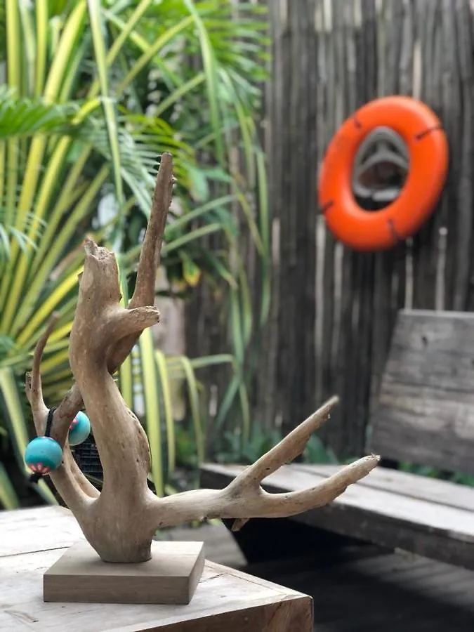 Crucero Tulum Bed & Breakfast