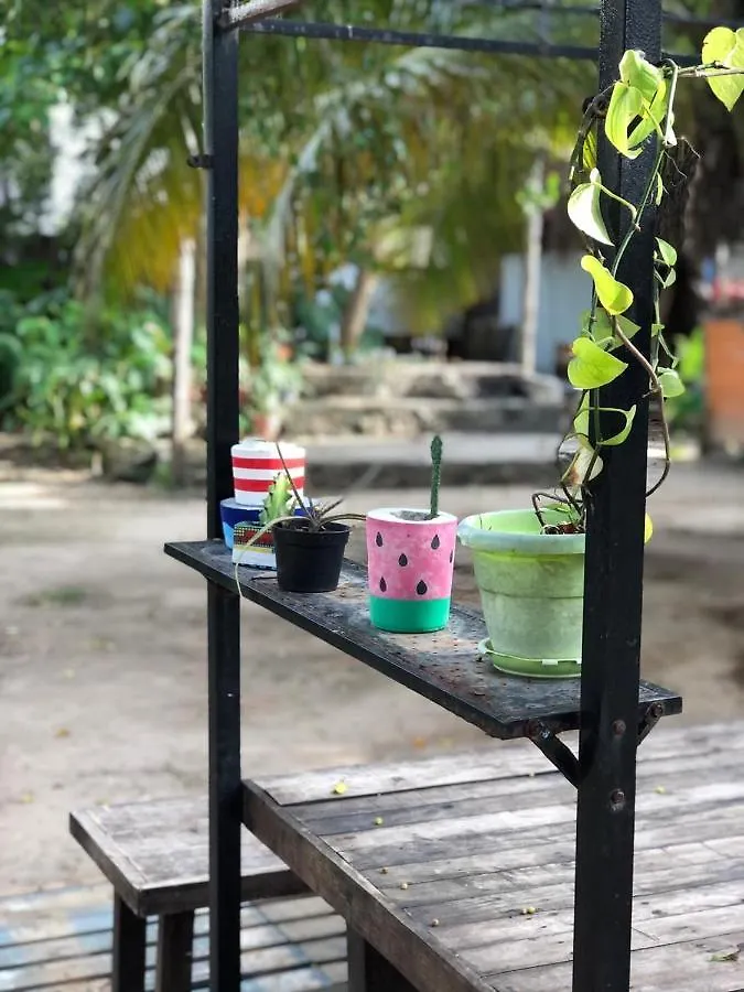 Crucero Tulum Acomodação com café da manhã 0*,  México