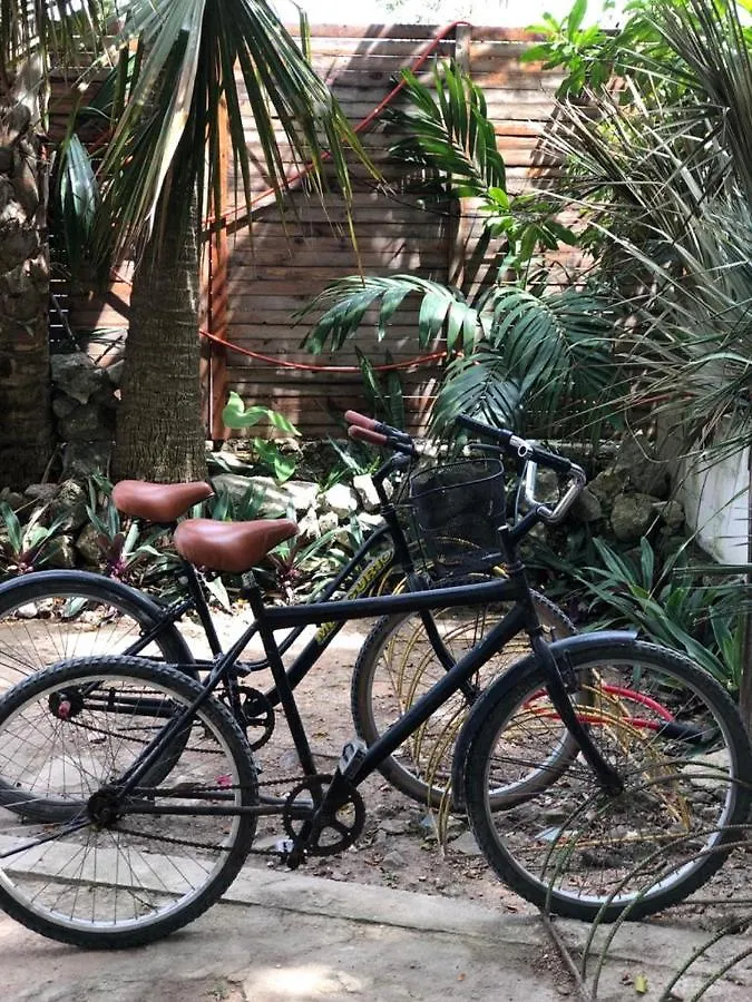 Crucero Tulum Acomodação com café da manhã 0*,