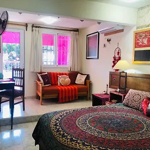 majikal-bnb-casa-de-los-xolos-corazon.hotelsmerida.org/