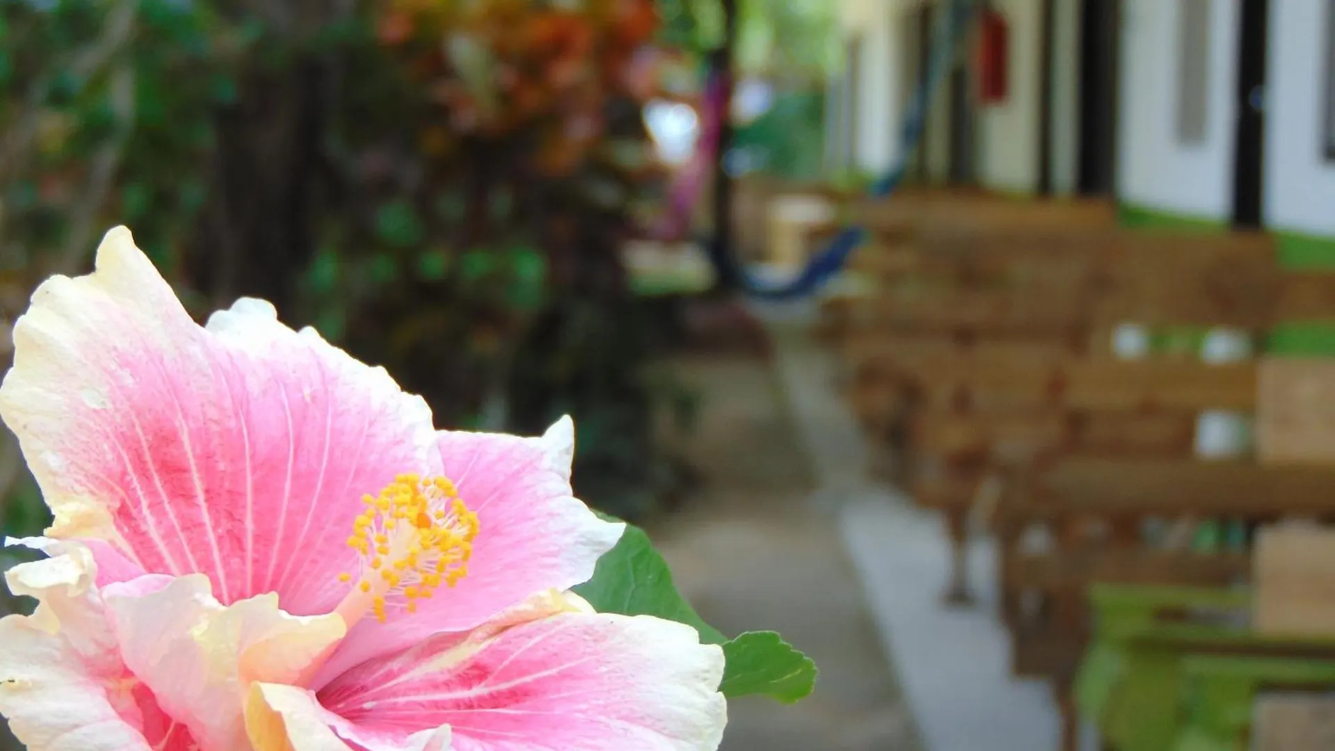 Crucero Tulum Bed & Breakfast